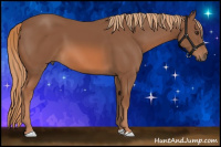Horse Color:Liver Chestnut 