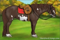 Horse Color:Liver Chestnut Frame 