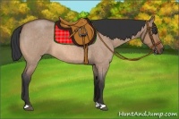 Horse Color:Bay Roan Dun