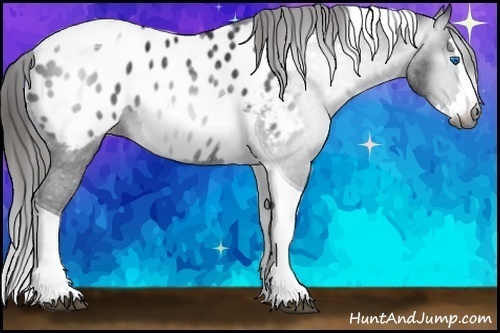 Horse Color:Gray Black Splash Tobiano Blanket 