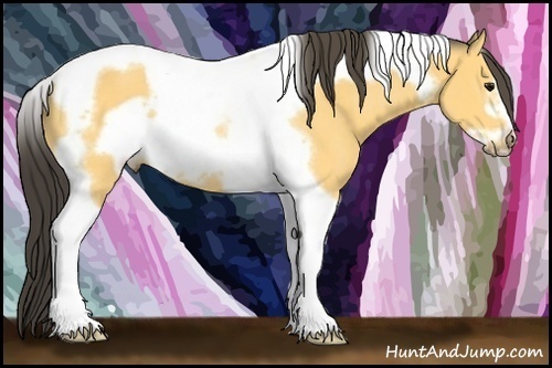 Horse Color:Buckskin Tobiano Frame Rabicano