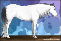 Horse Color:Grullo Splash Tobiano