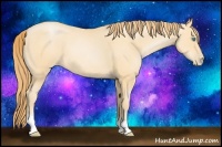 Horse Color:Buckskin Pearl 