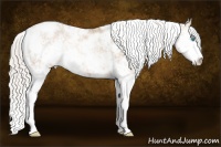 Horse Color:Chocolate Palomino Pearl Sabino Snowcap Rabicano 