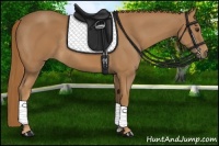 Horse Color:Chestnut Rabicano 