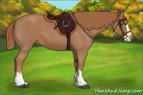 Horse Color:Red Roan Splash 