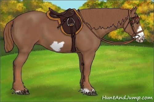 Horse Color:Chestnut Frame