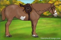 Horse Color:Chestnut Frame 