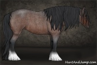 Horse Color:Bay Roan 