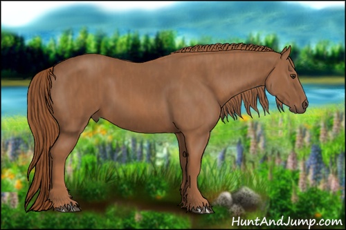 Horse Color: Chestnut  Brindle