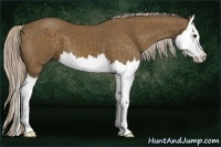 Horse Color:Chocolate Palomino Splash 