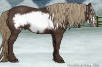 Horse Color:Liver Chestnut Frame 
