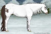 Horse Color:White Spotted Liver Chestnut Frame 