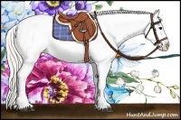 Horse Color:Silver Smoky Black Appaloosa 