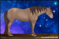 Horse Color:Classic Champagne 