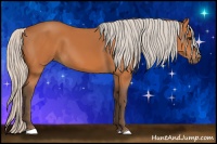 Horse Color:Silver Bay 