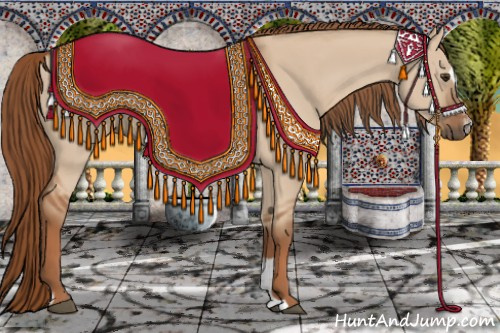 Horse Color: Red Dun Sabino 