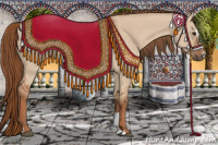 Horse Color:Red Dun Sabino 