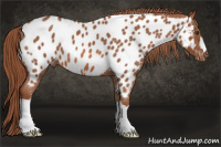 Horse Color:Liver Red Roan Near Leopard 