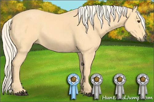 Horse Color: Palomino 