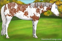 Horse Color:White Spotted Silver Bay Ice Splash