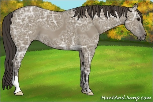 Horse Color: Smoky Grullo Ice 