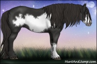 Horse Color:Liver Chestnut Frame 