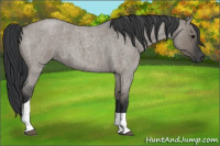 Horse Color:Grullo Roan Tobiano 