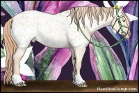 Horse Color:Gold Champagne Dun Appaloosa 