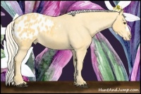 Horse Color:Palomino Blanket 