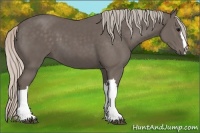 Horse Color:Silver Black 