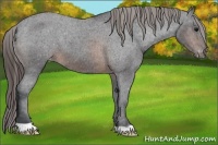 Horse Color:Brown Varnish 