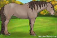 Horse Color:Classic Champagne 