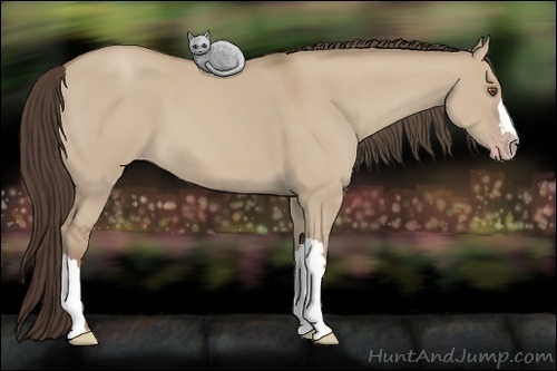 Horse Color: Classic Champagne Dun 