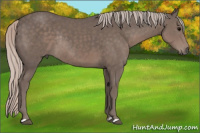Horse Color:Silver Black Rabicano 