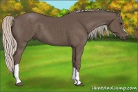 Horse Color:Silver Black 