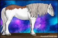 Horse Color:Silver Brown Roan Splash Varnish 