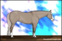 Horse Color:Silver Grullo Splash 
