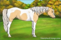 Horse Color:Silver Buckskin Dun Tobiano