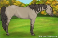 Horse Color:Smoky Grullo 