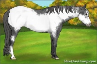 Horse Color:Black Frame Snowcap 