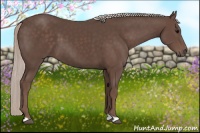 Horse Color:Silver Black 