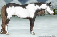 Horse Color:Liver Chestnut Frame 
