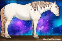 Horse Color:Buckskin Pearl Dun Varnish Rabicano 