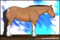 Horse Color:Bay Tobiano 