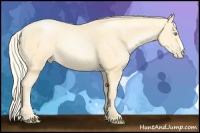 Horse Color:Palomino Pearl 
