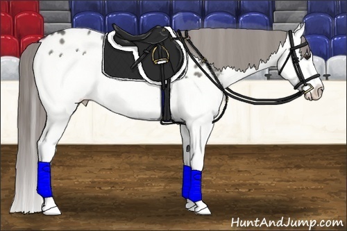 Horse Color: Grullo Splash Near Leopard 