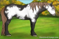 Horse Color:Liver Chestnut Frame 