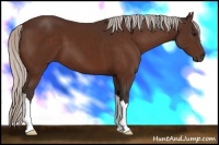Horse Color:Silver Bay 