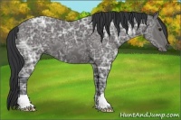 Horse Color:Black Ice 